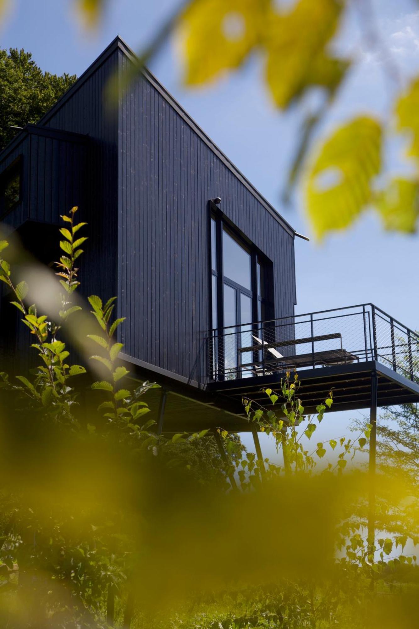 Treeangle - K1 Baumhaus Villa Одентал Екстериор снимка